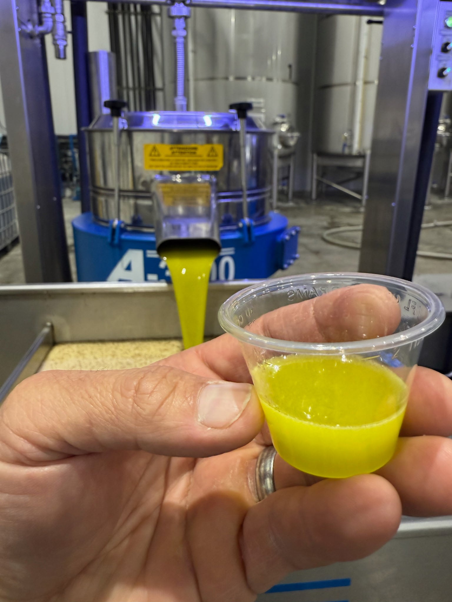 Olio Nuovo Manzanillo