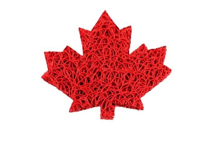 Soap Lift - (Soap Holder) - Olive Oil Etcetera