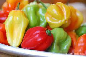 Citrus Habanero Olive Oil - Olive Oil Etcetera