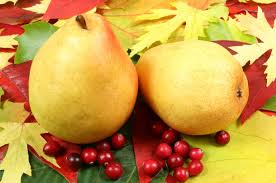 Cranberry Pear White Balsamic Vinegar - Olive Oil Etcetera 