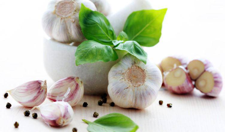 Garlic Herb Olive Oil - Olive Oil Etcetera 