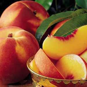 Peach Balsamic Vinegar - Olive Oil Etcetera 
