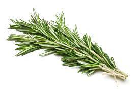 Rosemary Olive Oil - Olive Oil Etcetera 