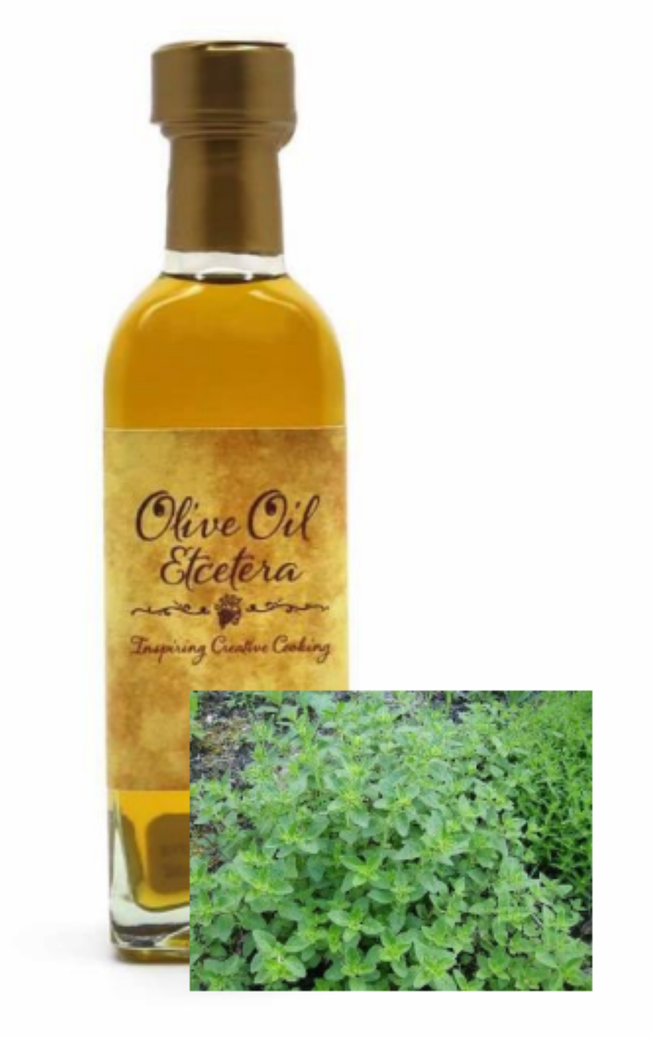 Oregano Olive Oil - Olive Oil Etcetera 